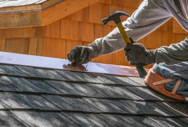 Best Roof Maintenance and Cleaning  in University Park, IL